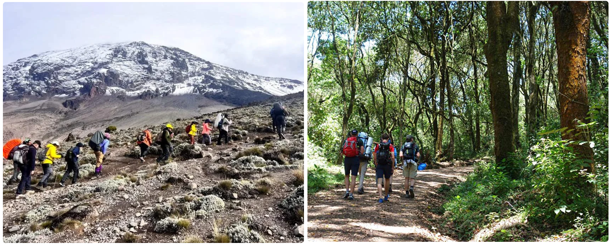 Kilimanjaro Machame Route 6 Days