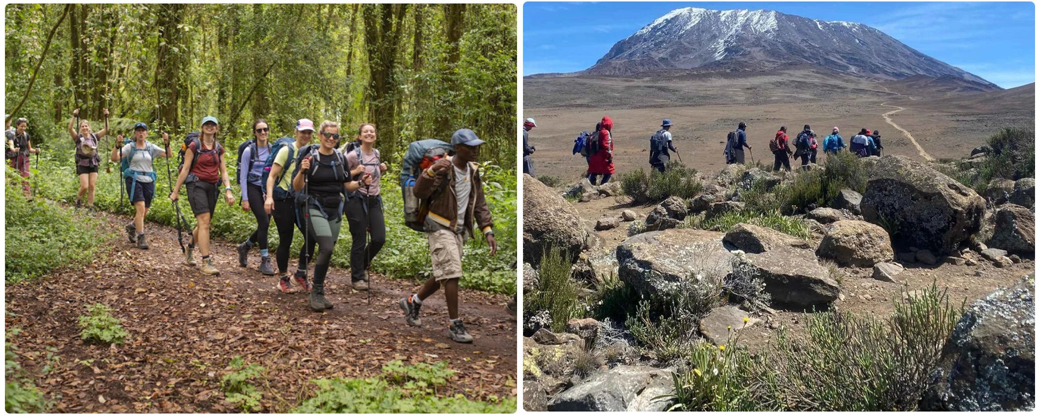 Kilimanjaro <yoastmark class=