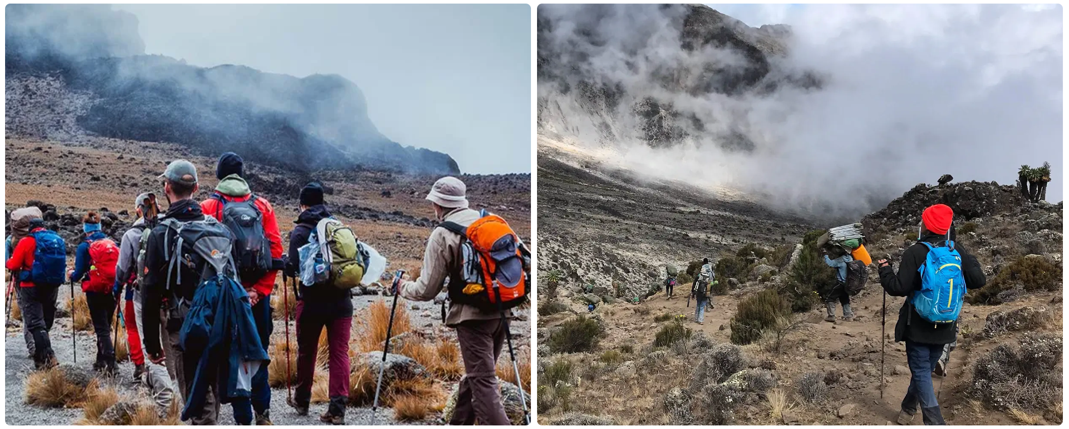 Lemosho Route 8 Days – Kilimanjaro Climb with Daytime Summit