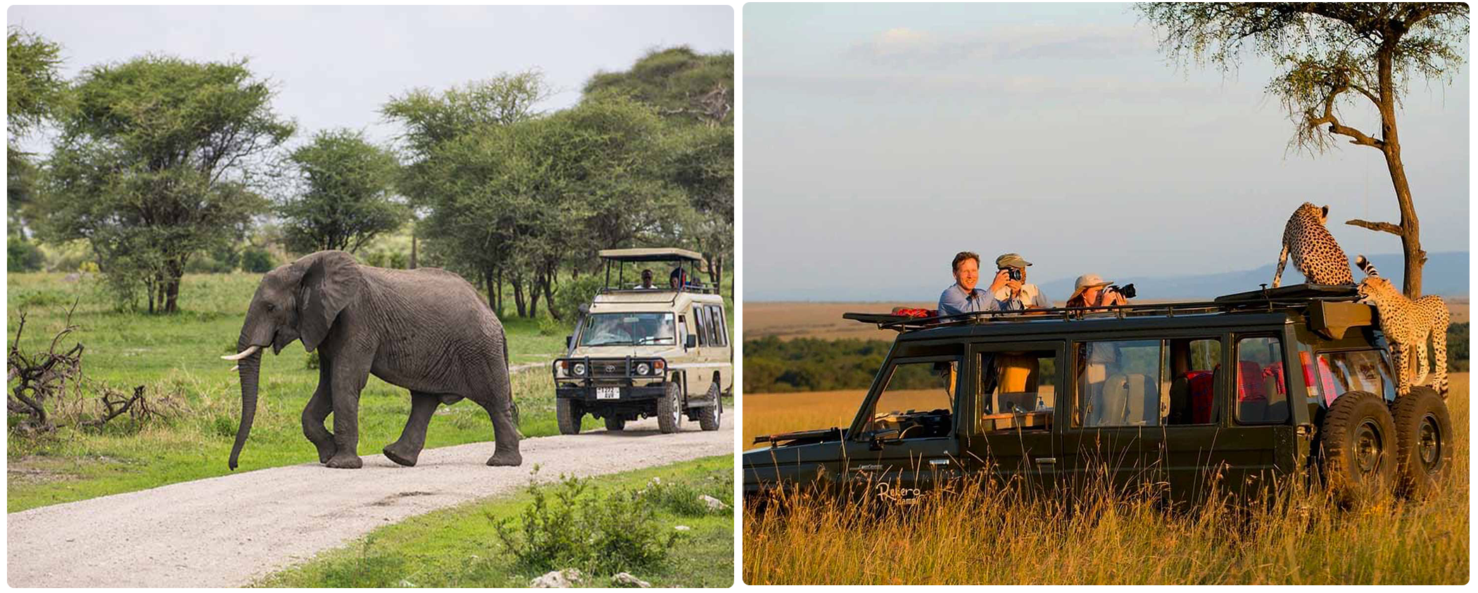game drive during 3 Days Tanzania Safari