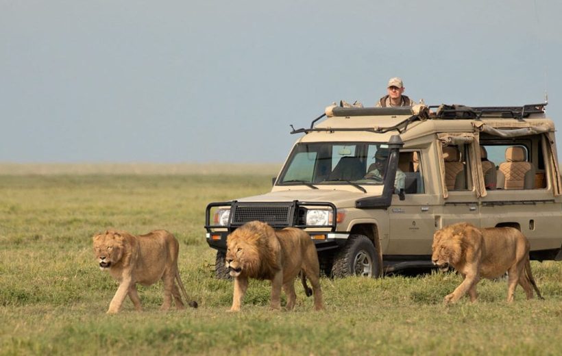 11 Days Essence of Rwanda Safari Adventure