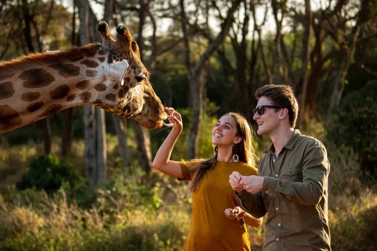 11 Days Romantic Kenya Safari & Diani Beach Getaway