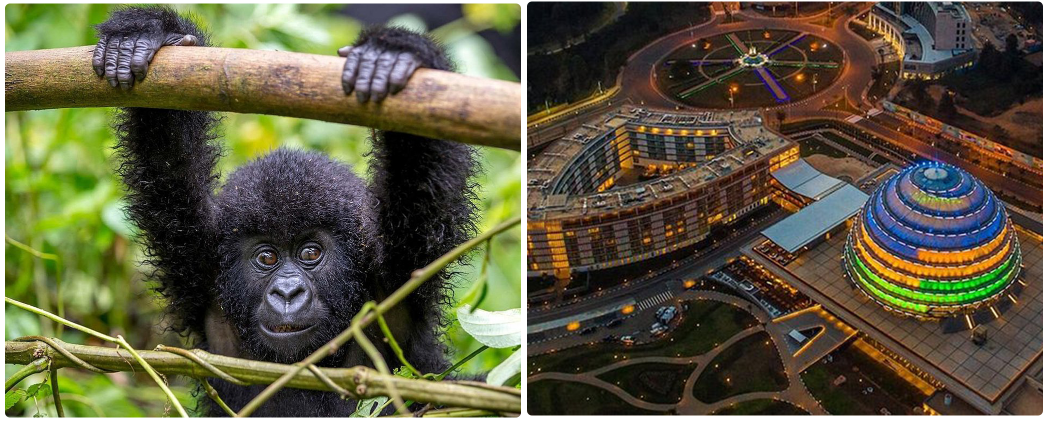 4 Days Rwanda Gorilla Trekking and Kigali Tour 