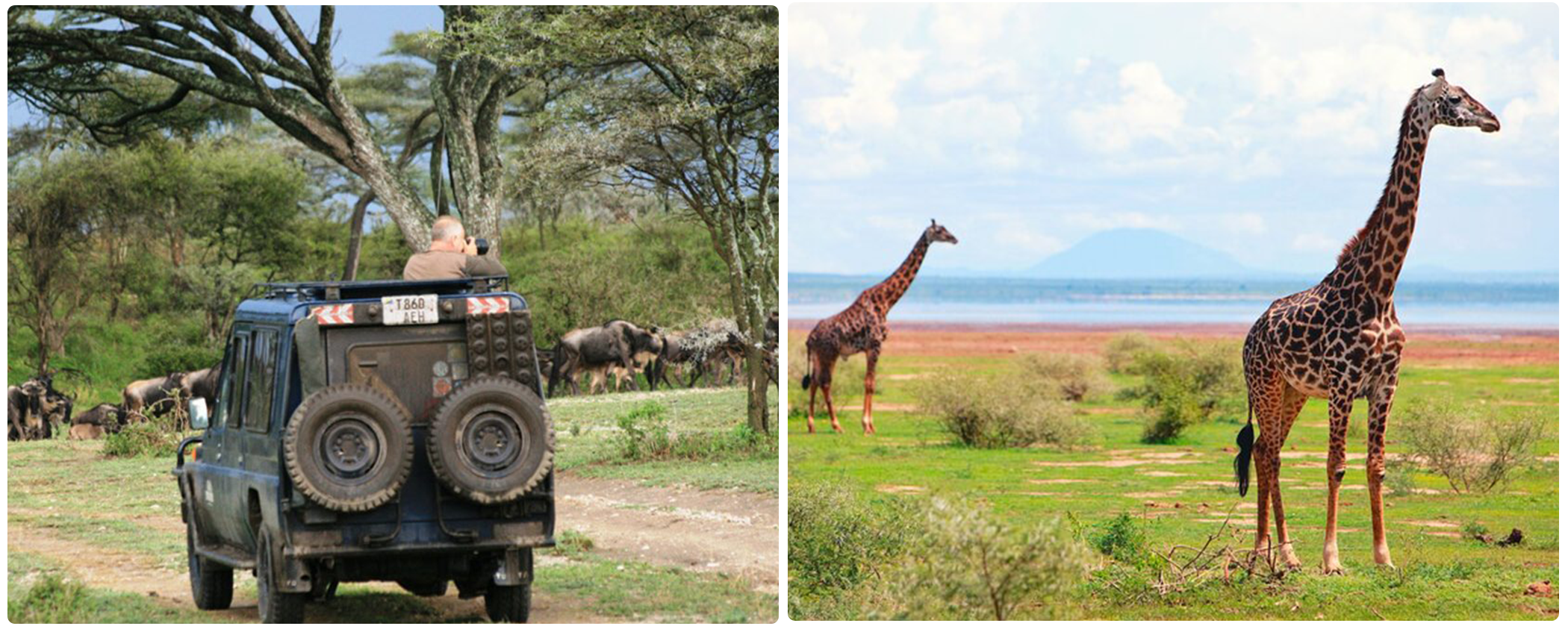 4-Days Serengeti Wilderness Adventure