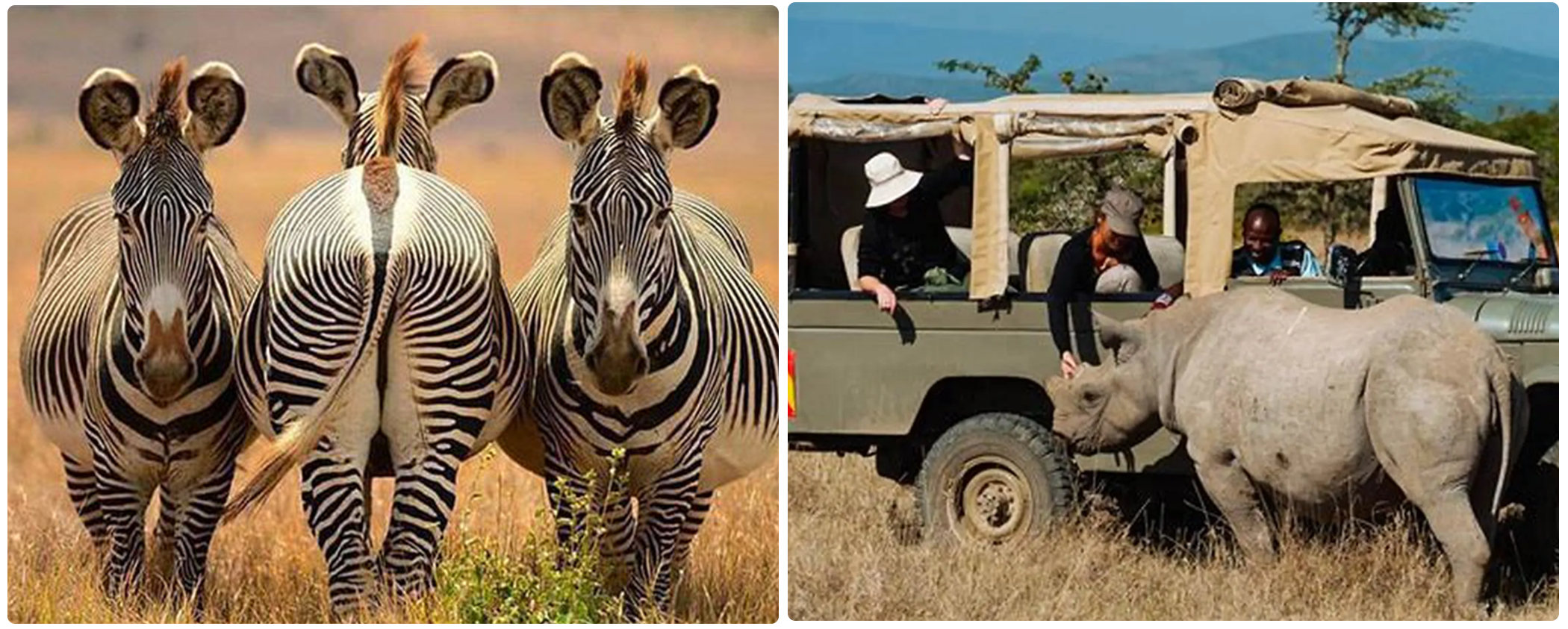 5 Days Classic Kenya Wildlife Safari