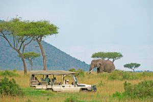 5 Days Classic Kenya Wildlife Safari