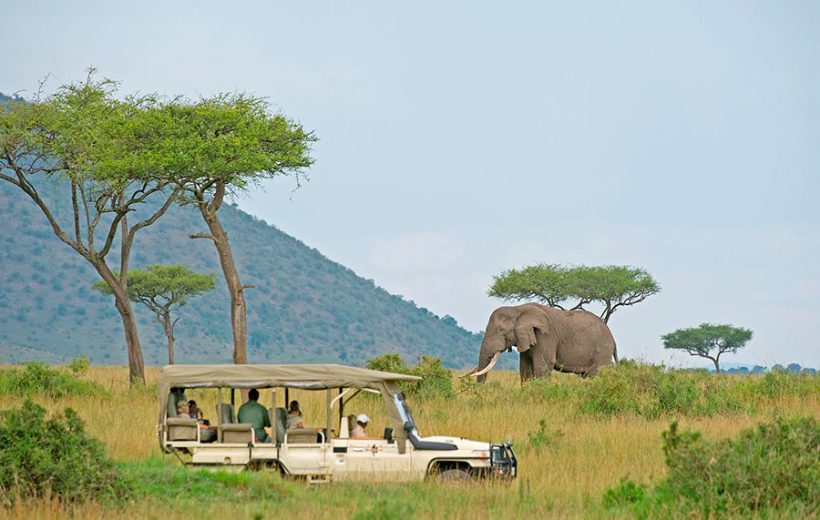 5 Days Classic Kenya Wildlife Safari