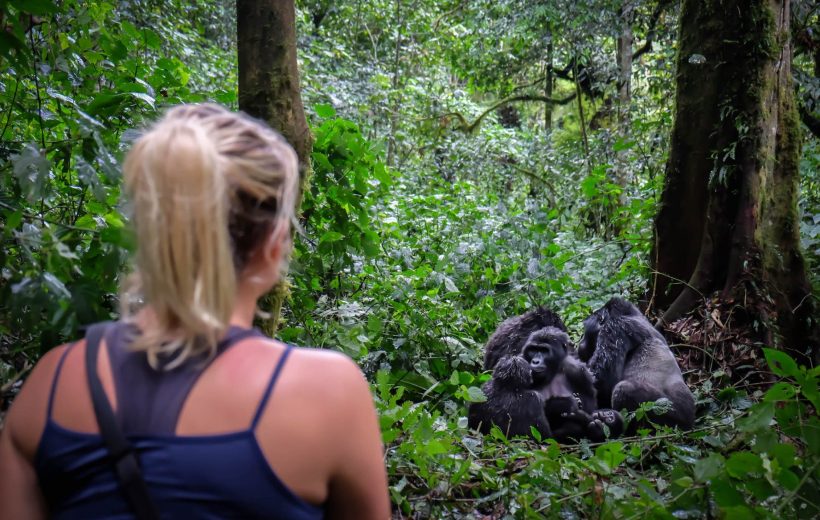 7 Days Rwanda Primates & Wilderness Expedition