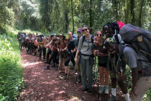 Kilimanjaro Lemosho Route 6 Days