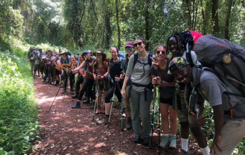 Kilimanjaro Lemosho Route 6 Days
