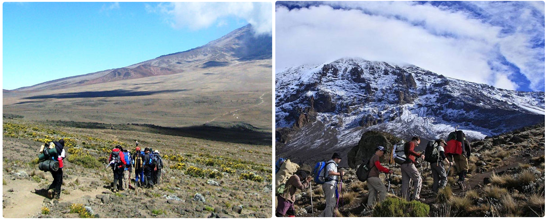 Kilimanjaro Northern Circuit Route 9 Days