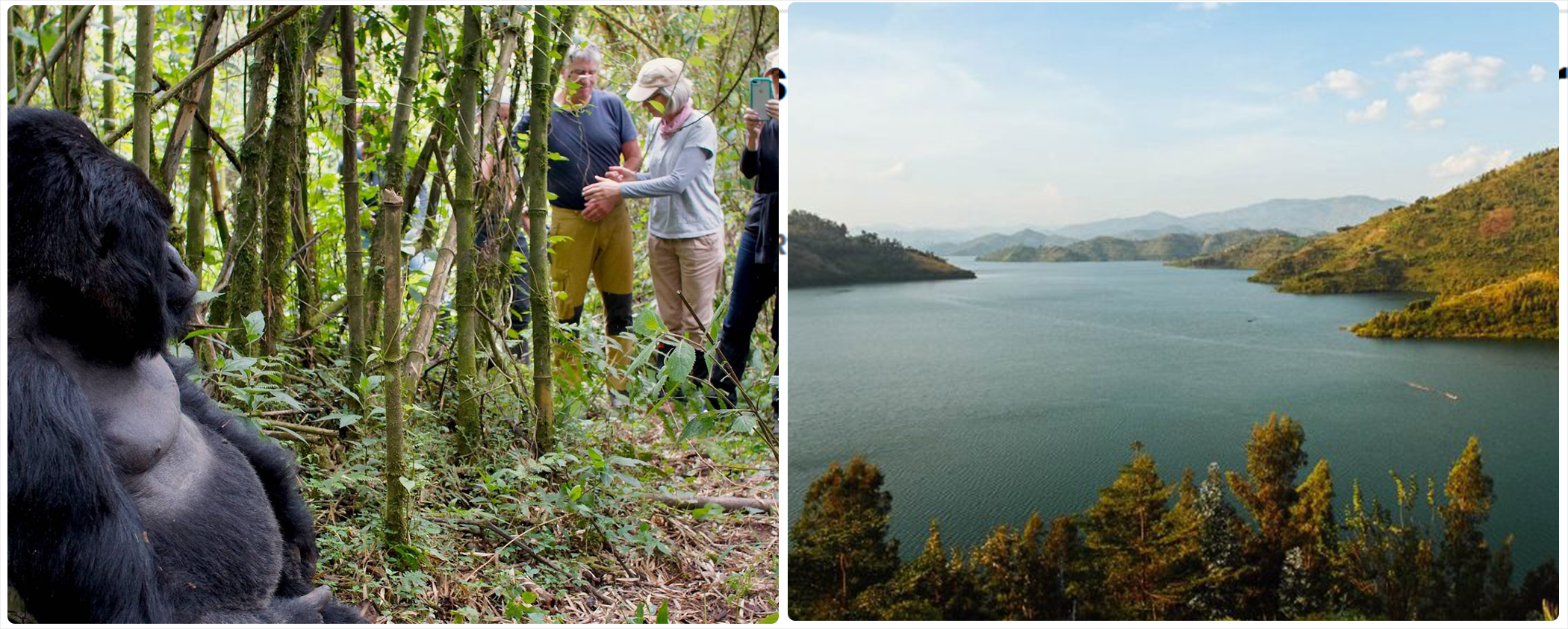11 Days Rwanda Safari Adventure