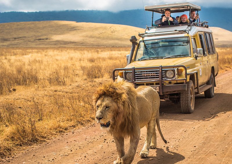 self-drive- tanzania safaris