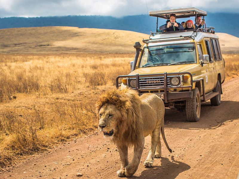 self-drive- tanzania safaris