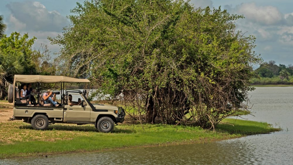 Tanzania Game Drive