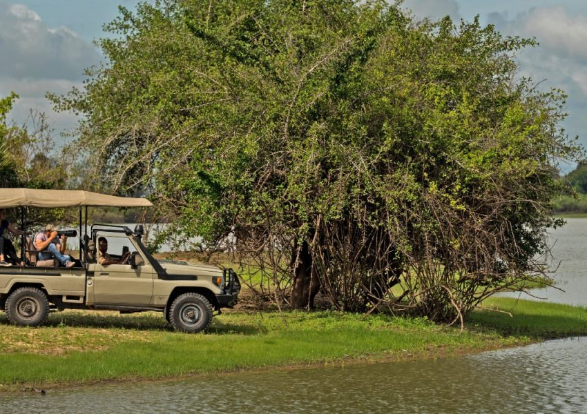 Tanzania Game Drive