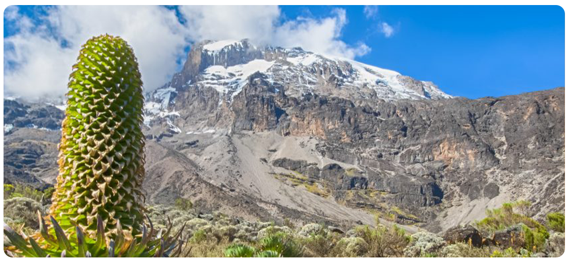 Photo of Mount Kilimanjaro - Lemosho Route