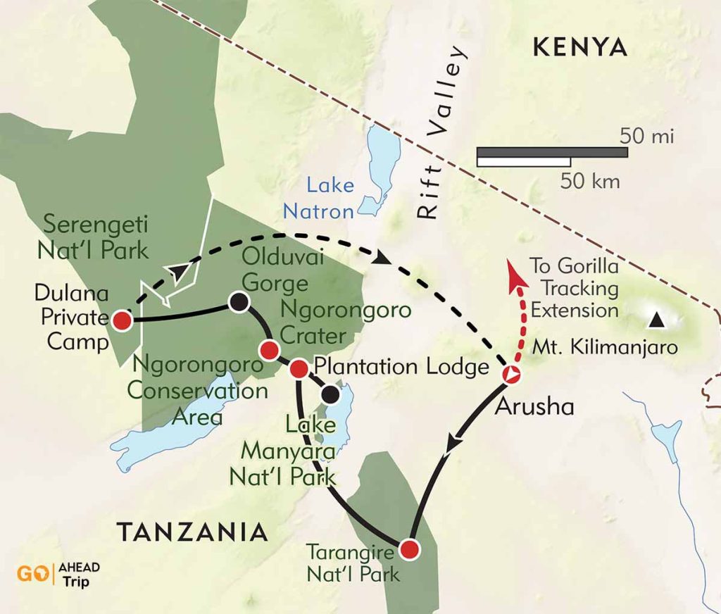 Tanzania Great Migration Safari