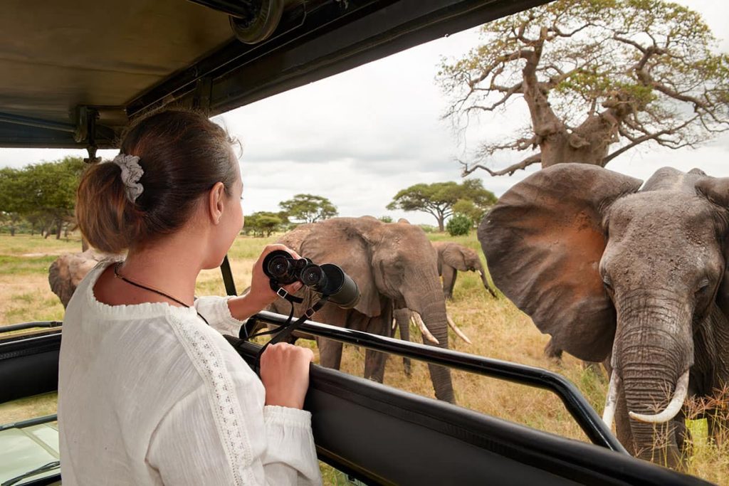 African Safari Packages How to Choose the Perfect Tanzania Adventure min