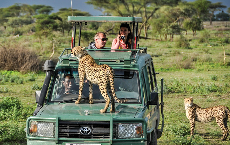 Lemala Special Cheetah Tanzania