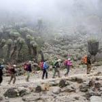 6-Days Kilimanjaro Group Climb