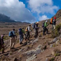 7 Days Machame Route