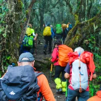 Kilimanjaro Climbing