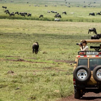 7-Day Luxury Tanzania Safari