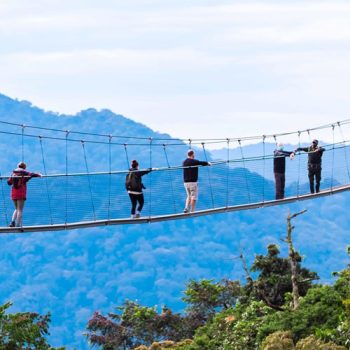 Nyungwe Forest National Park